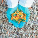 REPORTE DEL RECICLAJE DE COLILLAS DE CIGARRO